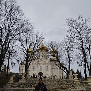 , 51 , 