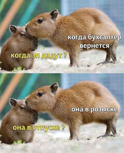  - 7  2025  08:02