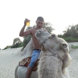 �������, ������, 47 ���