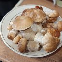 ���� �������, ������������, 51 ��� - ��������� 9 ������� 2024 � ������ ������������