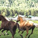 ���� ����, �����������, 55 ��� - ��������� 5 ������� 2026 � ������ ������ ��������