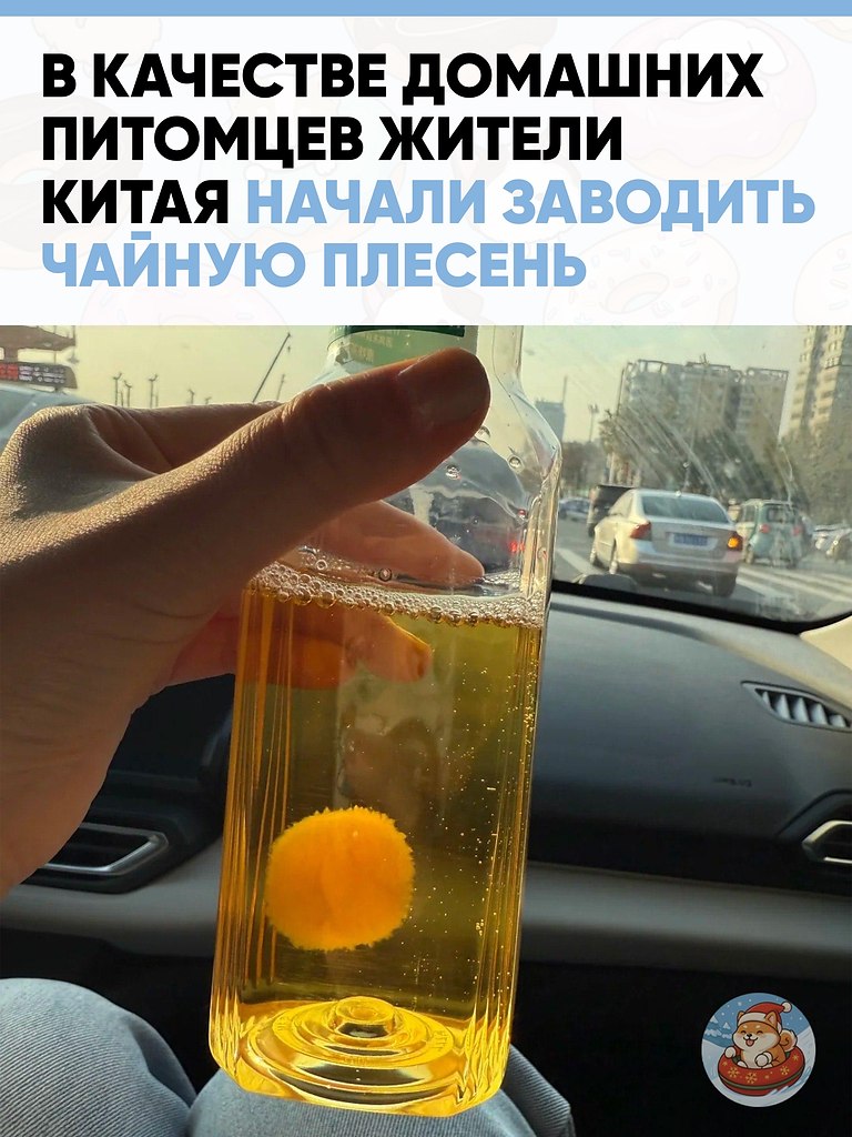 ������ ������� ������ ����: ����� ����� �� �����.� ����� �������� ������������ ����������� ��������, ...