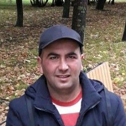 �����, ������, 39 ���