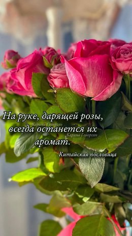   - 10  2025  08:24