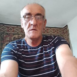 , 54, 