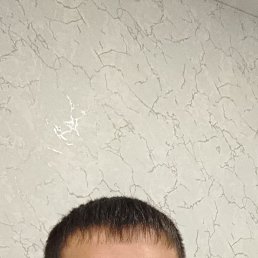  , 33 , 