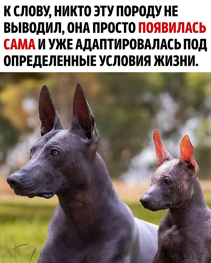     - 3