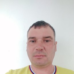 �����, 41 ���, ������