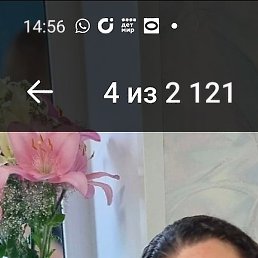 , , 45 