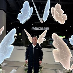 ������, �������, 41 ���