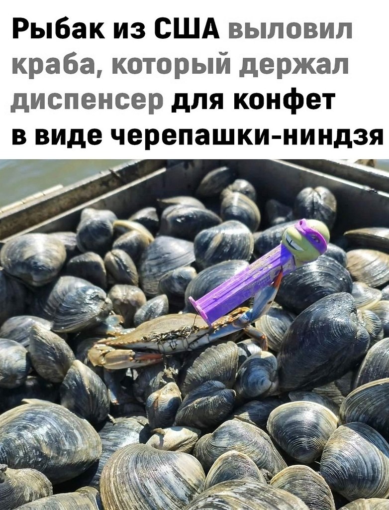      -  !