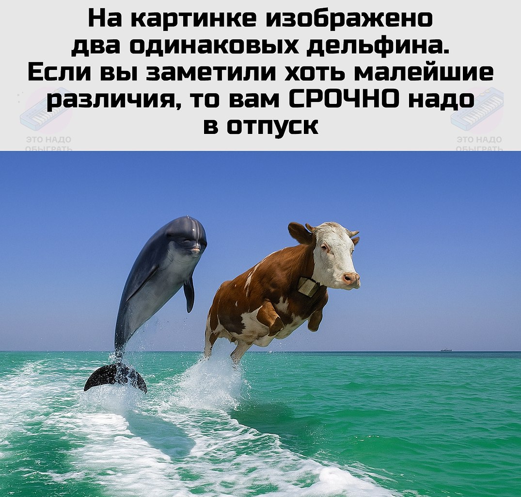   - 5  2025  12:53