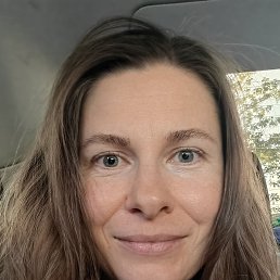 �����, 41 ���, ������