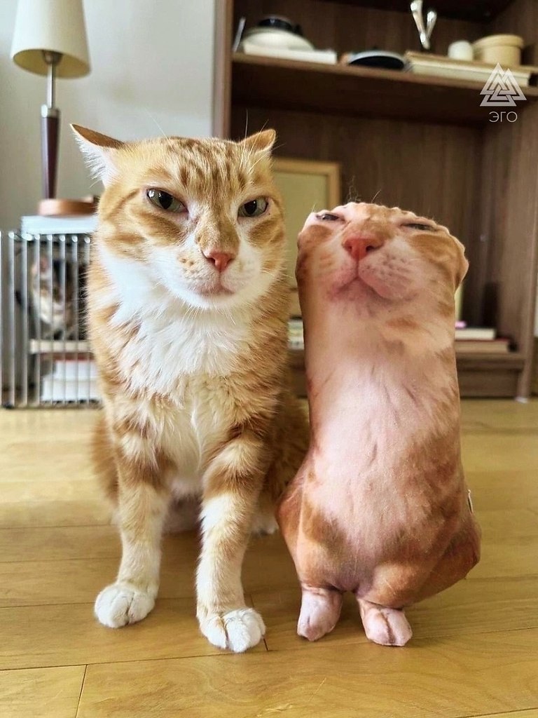     .  ,   
