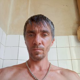 �����, 38 ���, ���������