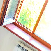 ������, 40 ���, �����