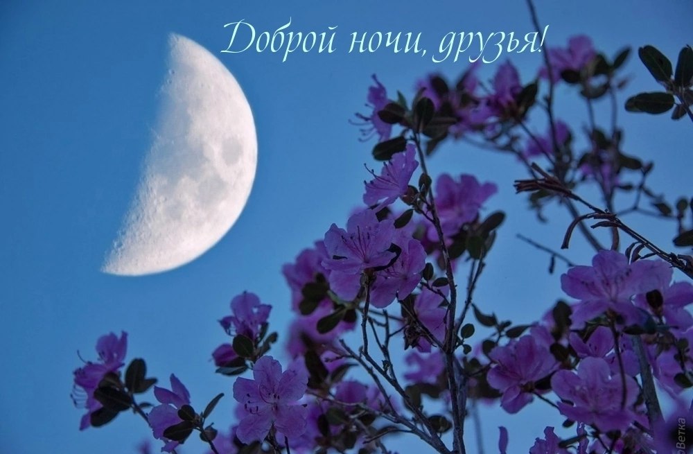   ,    . - 22  2025  22:15