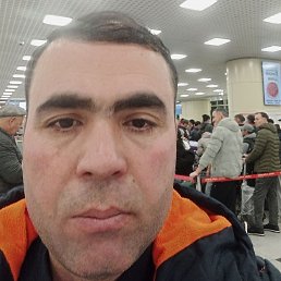 ����, ����, 43 ����