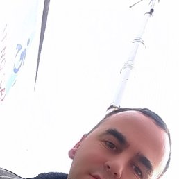 , 37, 