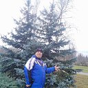 ���� �����, ����������, 37 ��� - ��������� 24 ������ 2024 � ������ �igrok211�