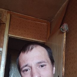 , 40, 