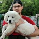 ���� �������, ���������, 34 ���� - ��������� 24 ������ 2025 � ������ ���� ����������