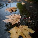 ���� ����, ������, 27 ��� - ��������� 4 ����� 2024 � ������ ���� ����������