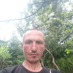 , 39, -
