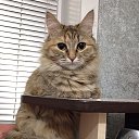 ���� ����, ������, 25 ��� - ��������� 17 ������� 2024 � ������ ���� ����������