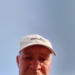 , 53, 