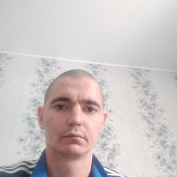 ������, 40 ���, ���������