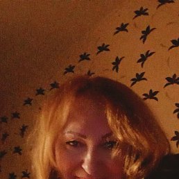 ���� ������, �����������, 55 ��� - ��������� 24 ������� 2023