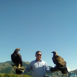 ������, ������, 58 ���