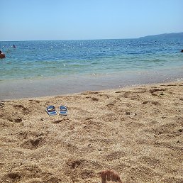 �����, ������, 46 ���