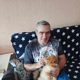 ������, 46 ���, ����