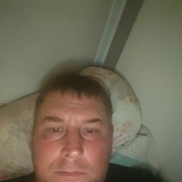 ���� ���������, ������, 43 ���� - ��������� 20 ������� 2026