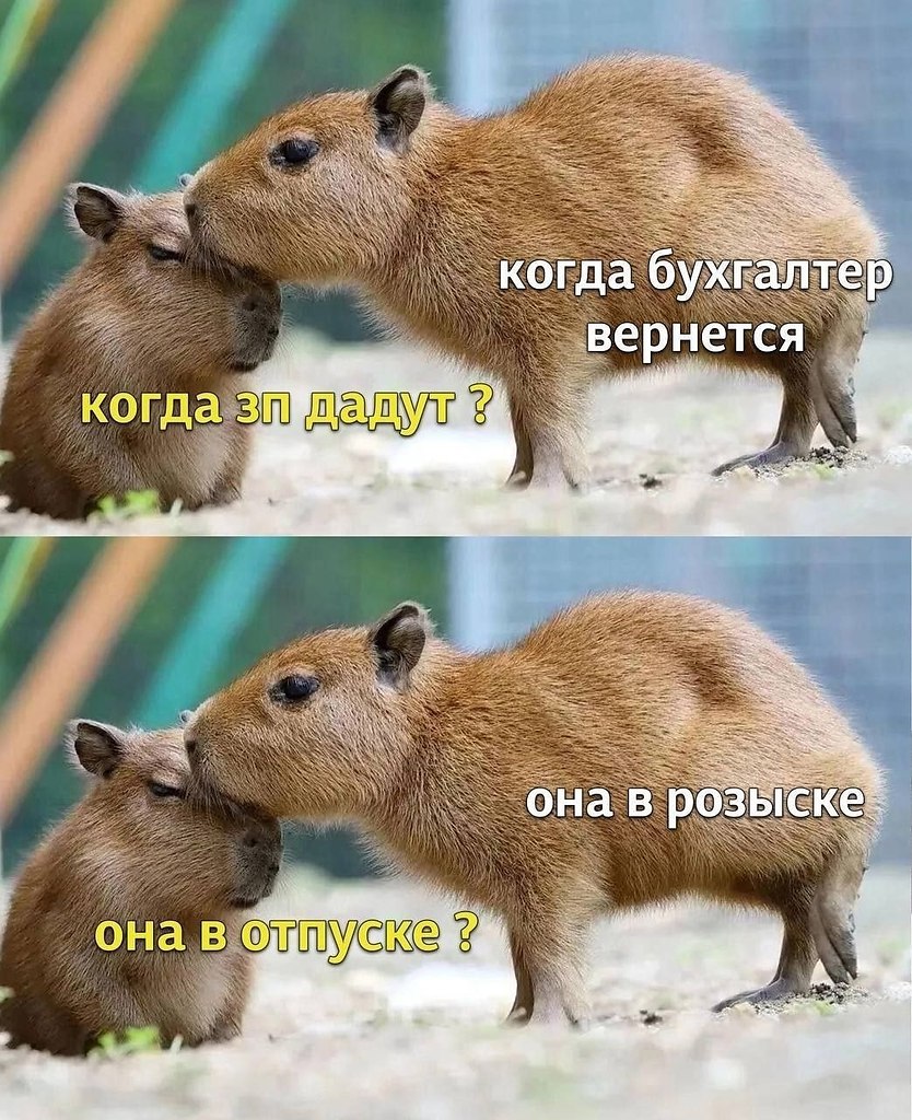  - 7  2025  08:02