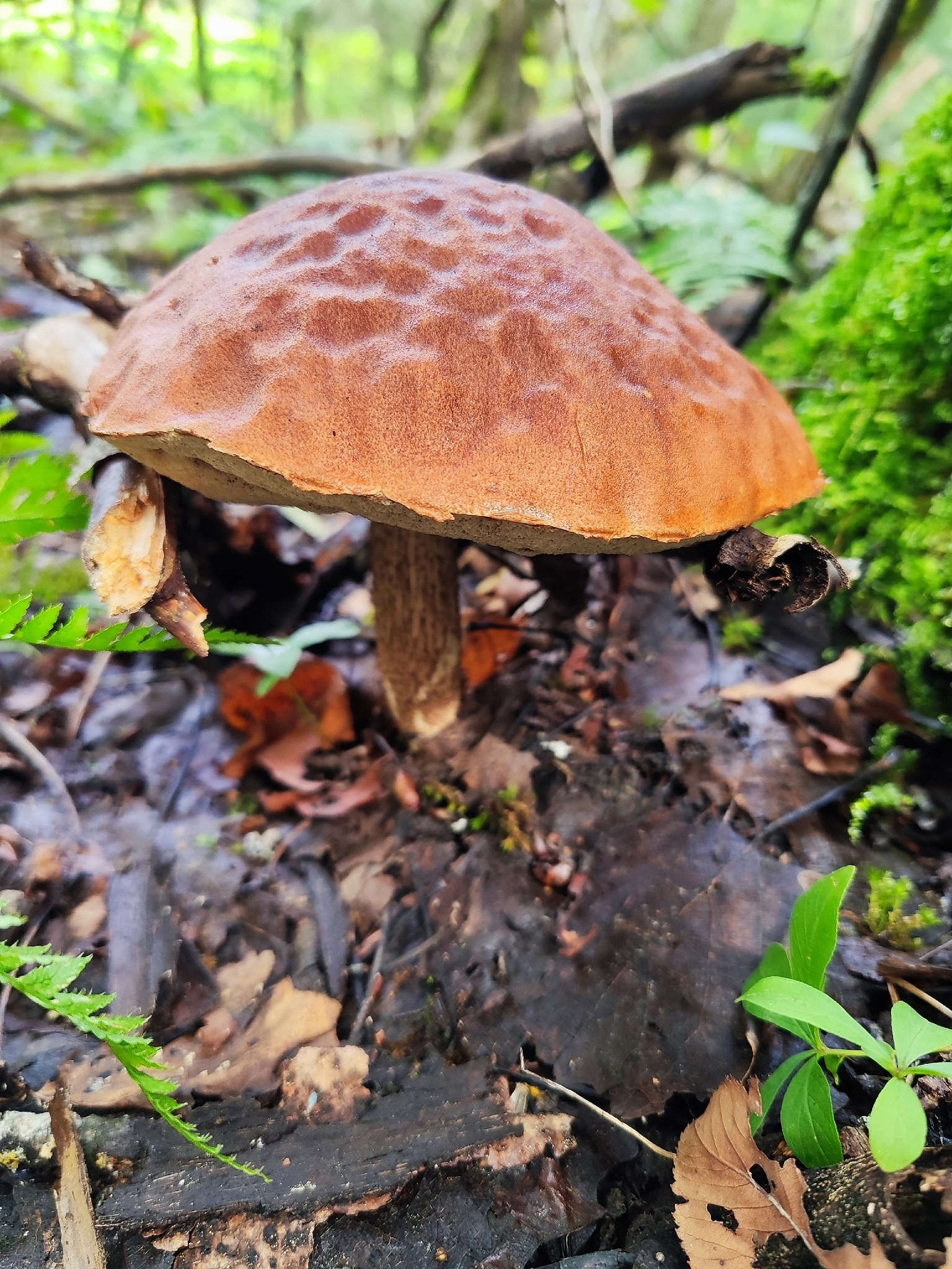   - 12  2025  16:15 - 5