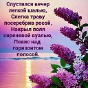 ���� ����, ����� - ��������� 19 ��� 2026 � ������ ������ ��������
