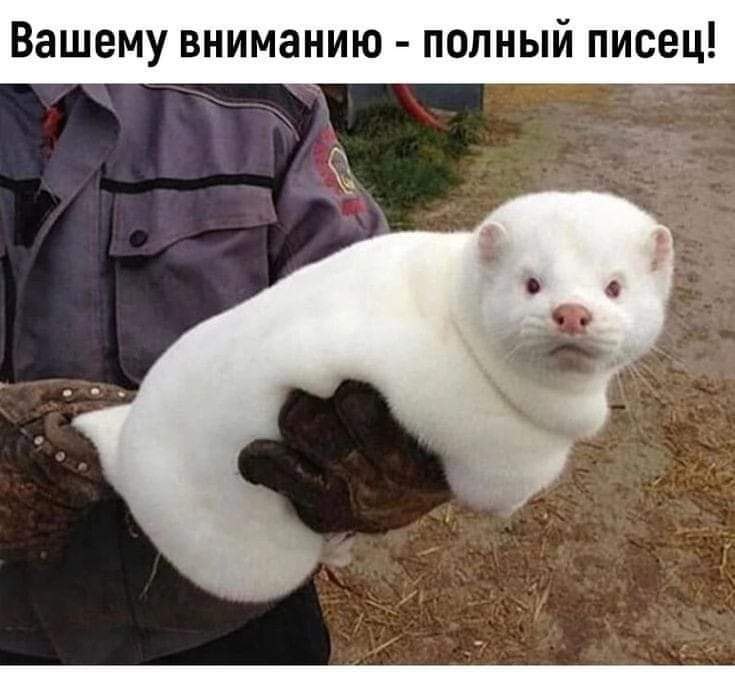 :)