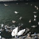 ���� �������, �������, 57 ��� - ��������� 29 ������ 2026 � ������ ���� ����������