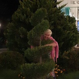 �����, ������������, 54 ����