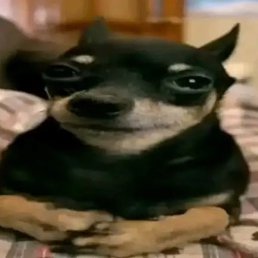 �����, ���������, 22 ����