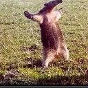 ���� ���������, ���������, 31 ��� - ��������� 30 ������ 2024 � ������ ���� ����������