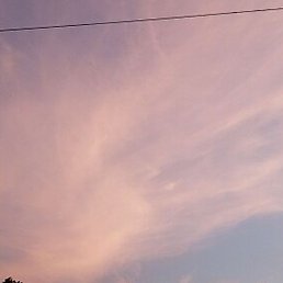 ����, �������, 35 ���