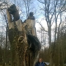 ���������, �����-���������, 69 ���