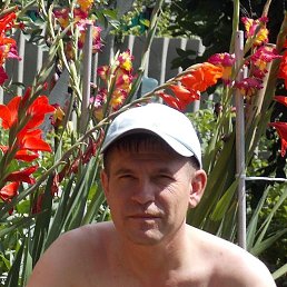 , 24, 