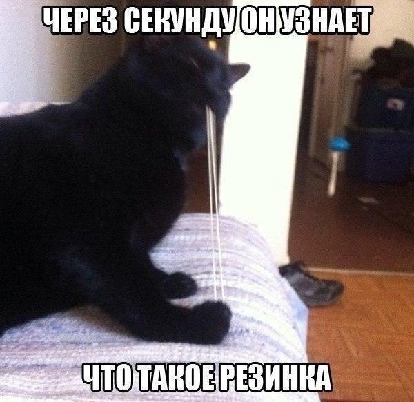 ? ,  ! - 24  2024  08:43