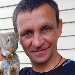 �������, �������, 49 ���