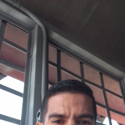 ���� Hector, �������, 36 ��� - ��������� 14 ������ 2024